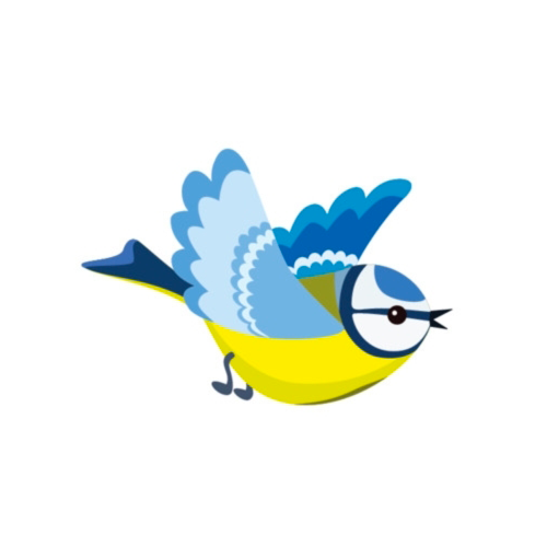 Mésange 1